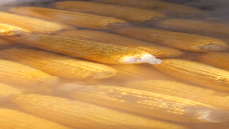 corn on the cob boiling in a pot of water