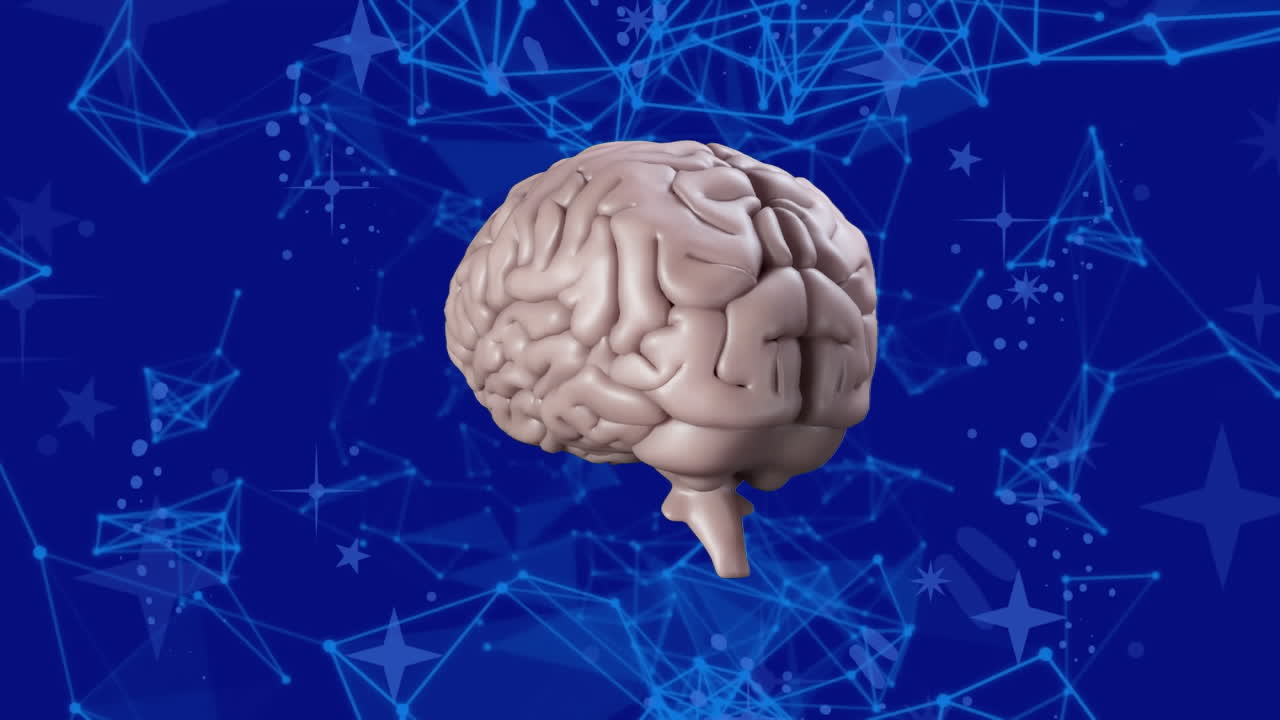 animación de conexiones sobre el cerebro humano