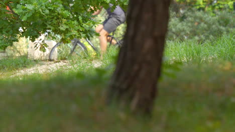 shaded view of a tree trunk in a park with blurred greenery in the background