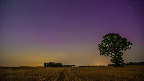 Nachtzeitrafferaufnahme-Des-Sternenhimmels-Mit-Polarlichtern,-Die-Entlang-Der-Sternenkonstellation-über-Ackerland-Sichtbar-Sind