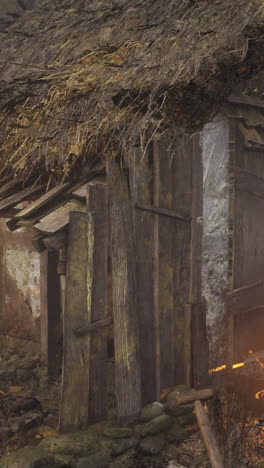 old wooden shack with thatched roof