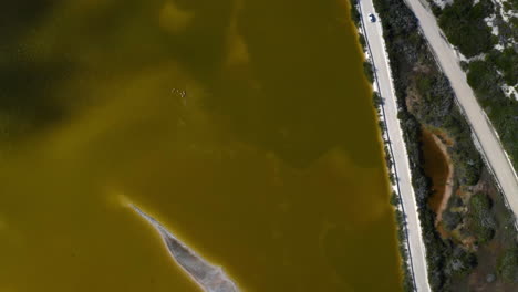 Murky-yellow-pond-and-car-driving-along-on-sandy-coastal-road,-Mexico