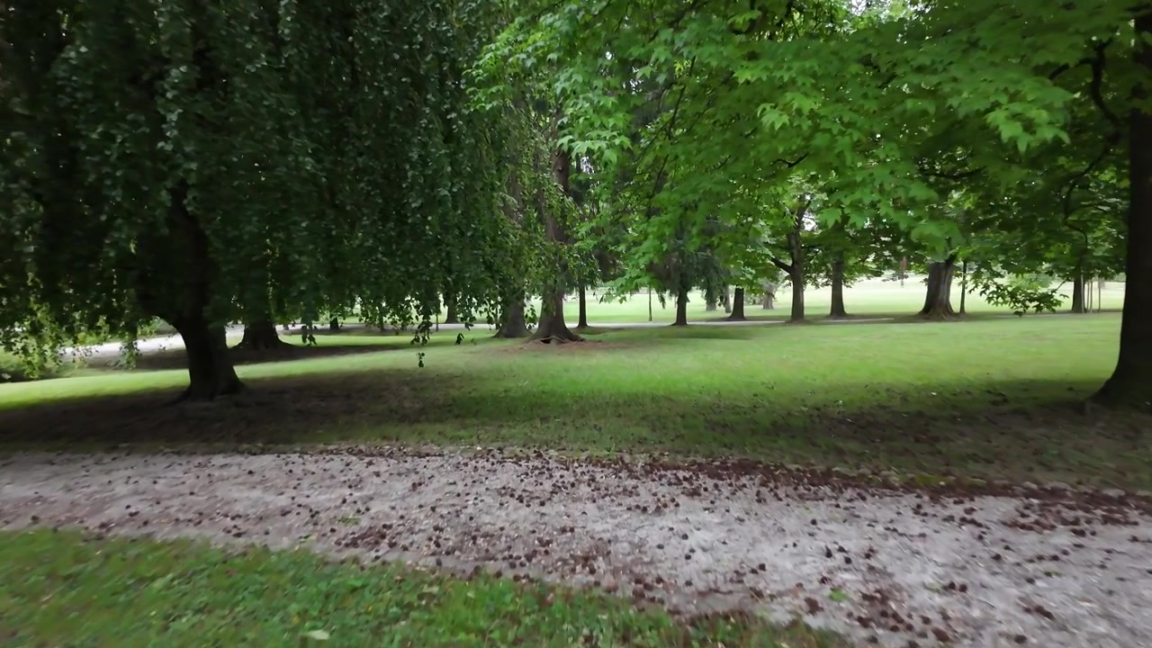 Parco verde sereno con alberi. Filmato cinematografico con drone