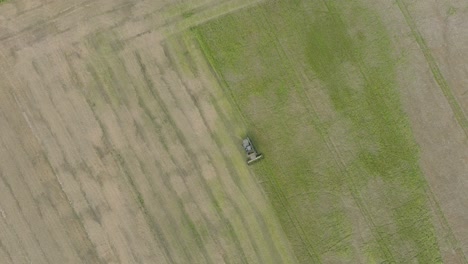 Aerial-establishing-view-of-combine-harvester-mowing-yellow-wheat,-dust-clouds-rise-behind-the-machine,-food-industry,-yellow-reap-grain-crops,-sunny-summer-day,-descending-birdseye-drone-orbit-shot