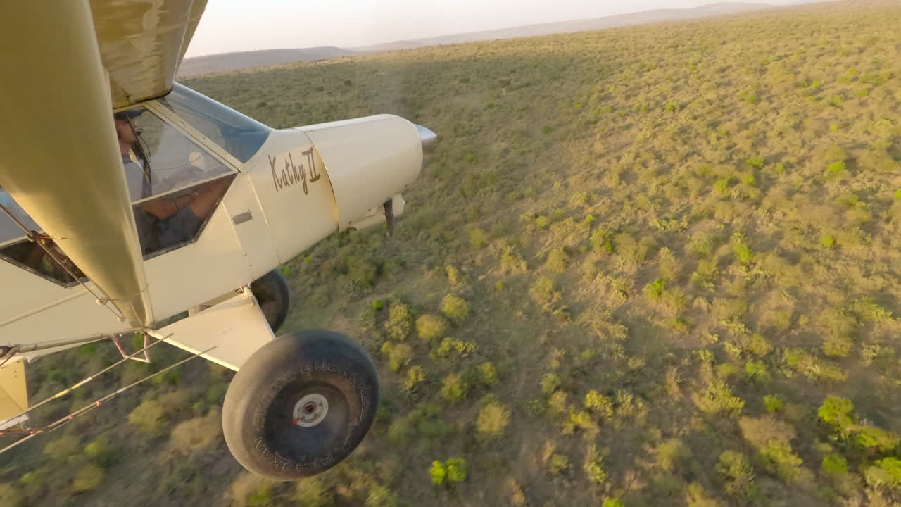 Aereo leggero sopra una veduta aerea di vegetazione con ombre proiettate