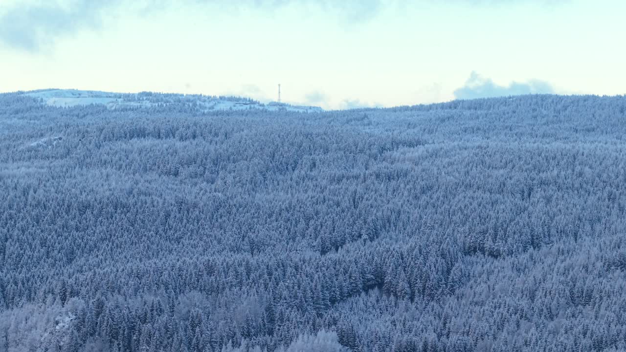Snow-covered forest in Karkonosze mountains, aerial view, winter landscape
