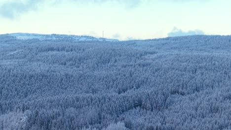snow-covered forest in karkonosze mountains, aerial view, winter landscape