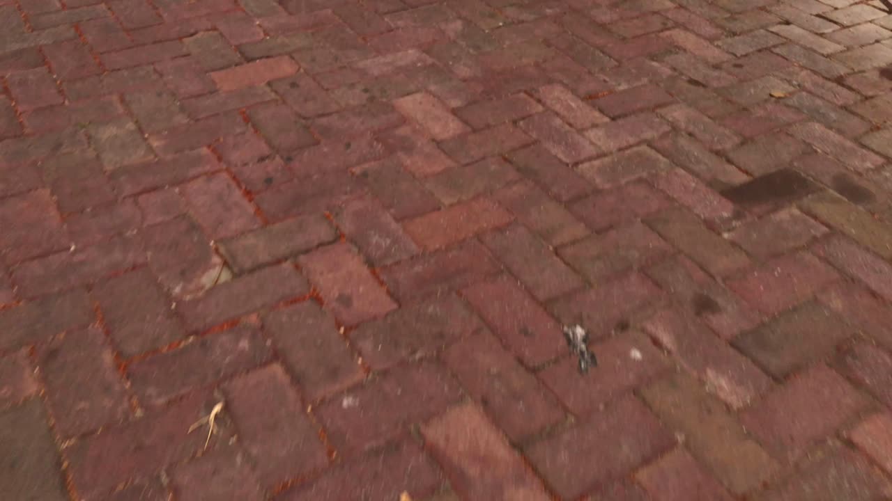 caminando por una calle empedrada