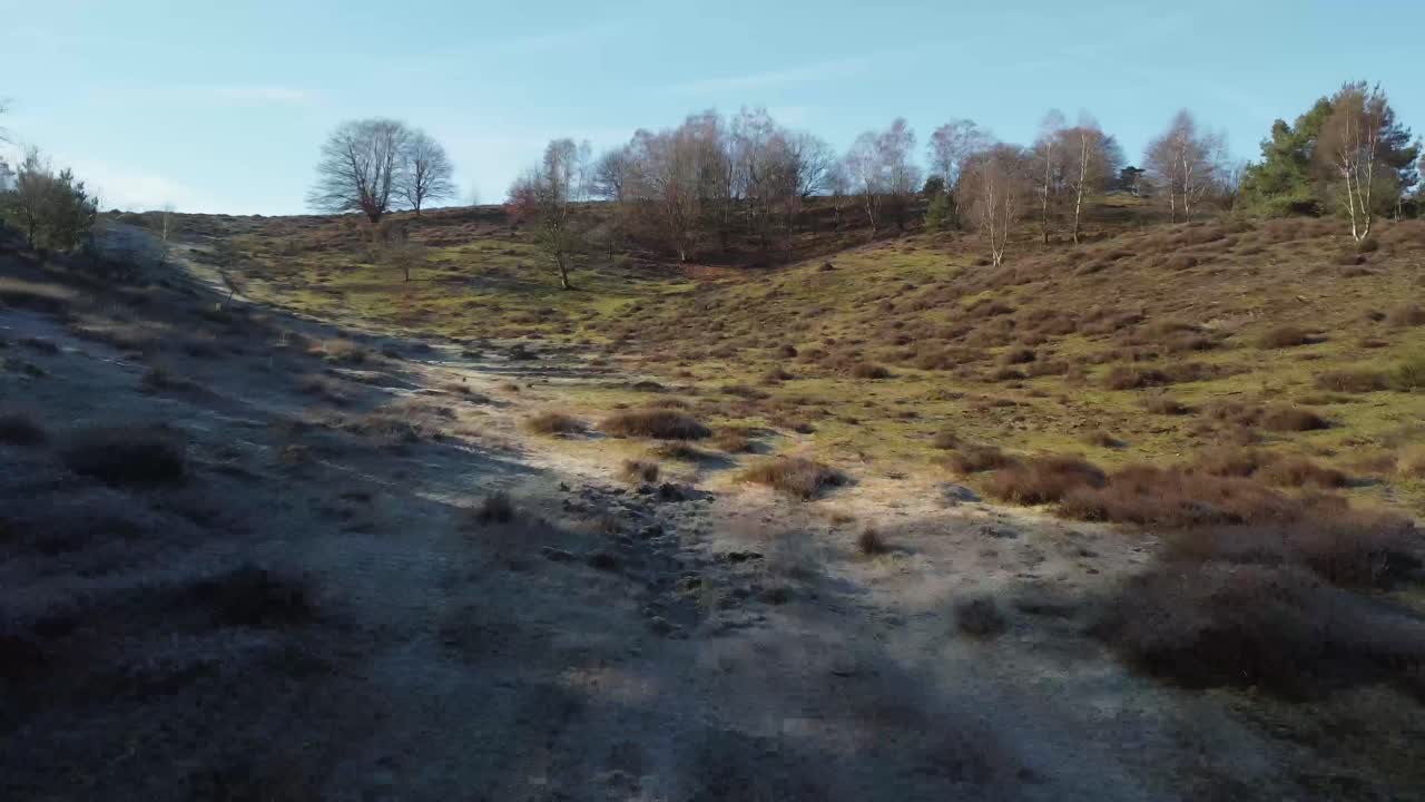 태양이 언덕 위에 빛나는 자연 국립 공원의 공중 드론 샷