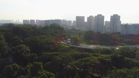 paisaje urbano de singapur con parque y autopista