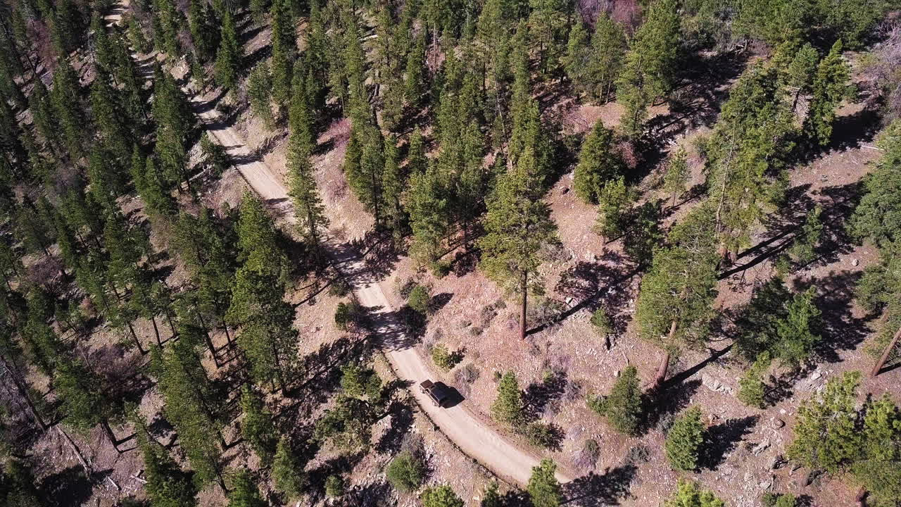 camión todoterreno oscuro conduce lentamente por un camino de incendios que serpentea a través de un bosque lleno de pinos altos