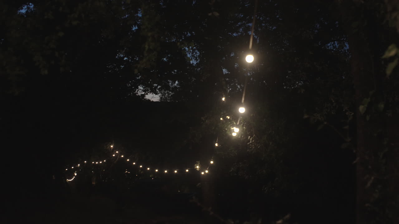 String lights in the trees at night