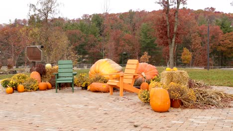 pumpkin display during the fall festivities in river prairie park in altoona, wisconsin