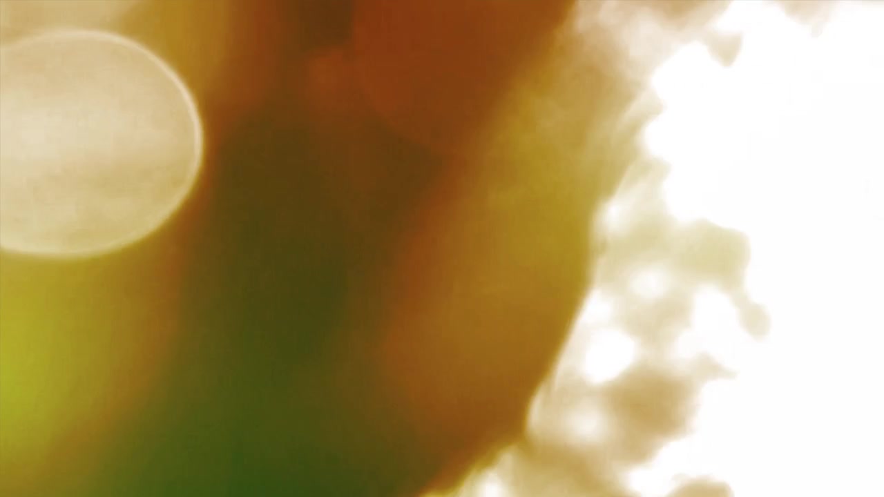 Vazamentos de Luz Abstratos e Sobreposição de Textura de Granulado de Filme