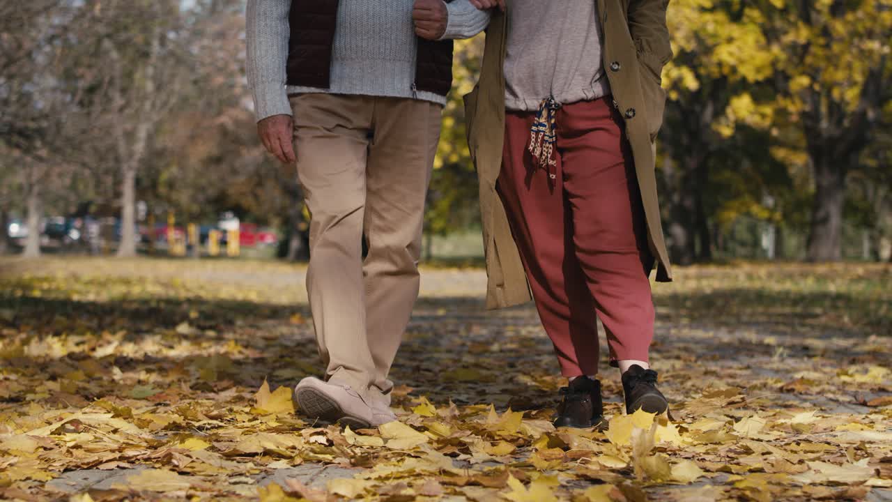 sección baja de una pareja caucásica caminando en el parque en otoño.