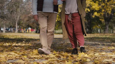 Unterer-Teil-Eines-Kaukasischen-Paares,-Das-Im-Herbst-Im-Park-Spaziert.