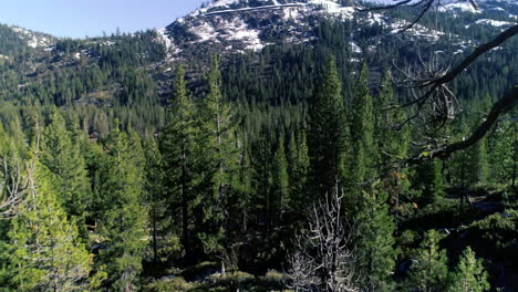 Fly-over-teen-on-rocks-revealing-frosted-mountain