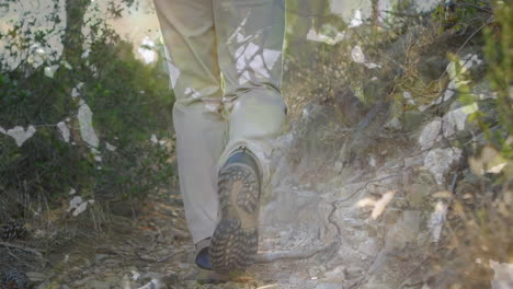 hombre caminando por el bosque