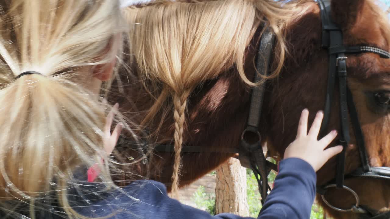 Girl petting a horse