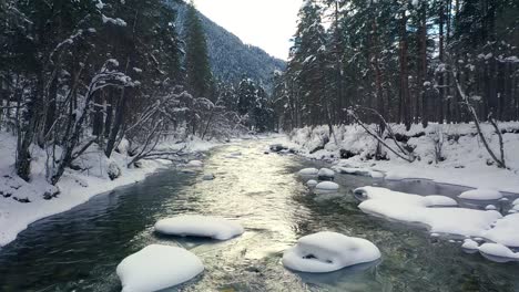 Beautiful-snow-scene-forest-in-winter.-Flying-over-of-river-and-pine-trees-covered-with-snow.