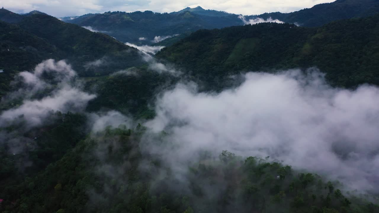 산꼭대기는 위쪽에서 숲으로 여 있습니다.