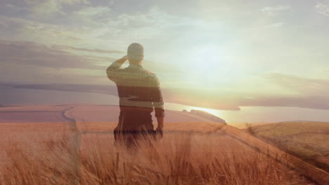 un hombre mirando su campo de trigo