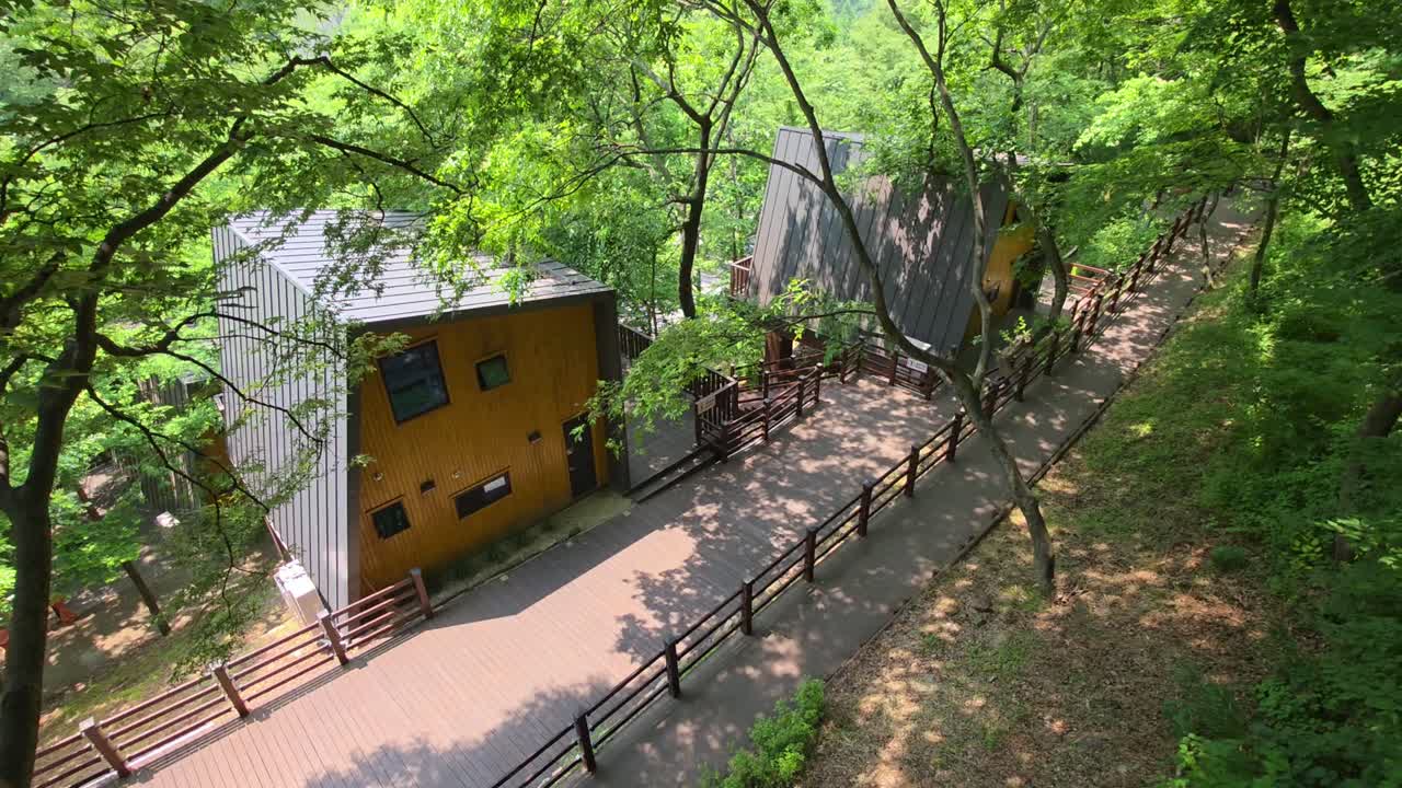 Camera slowly tilts upward from the shaded walkway to unveil two contemporary wooden cabins nestled among dense green trees in the tranquil woods of Maninsan Ecological Park