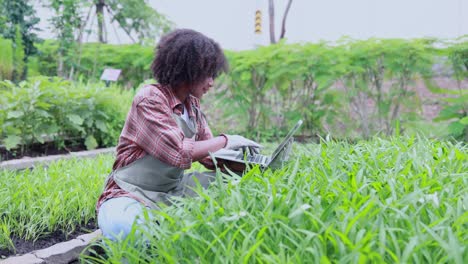 farmer use of agricultural technology