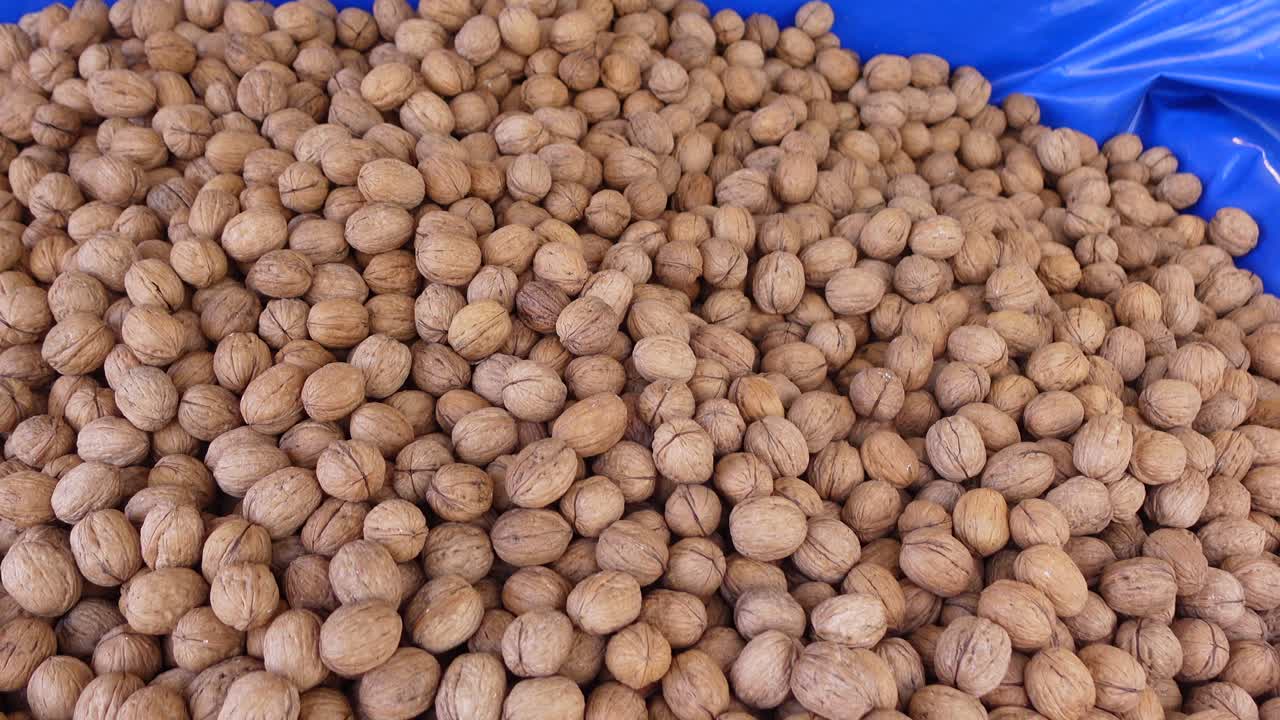 Un mucchio di noci