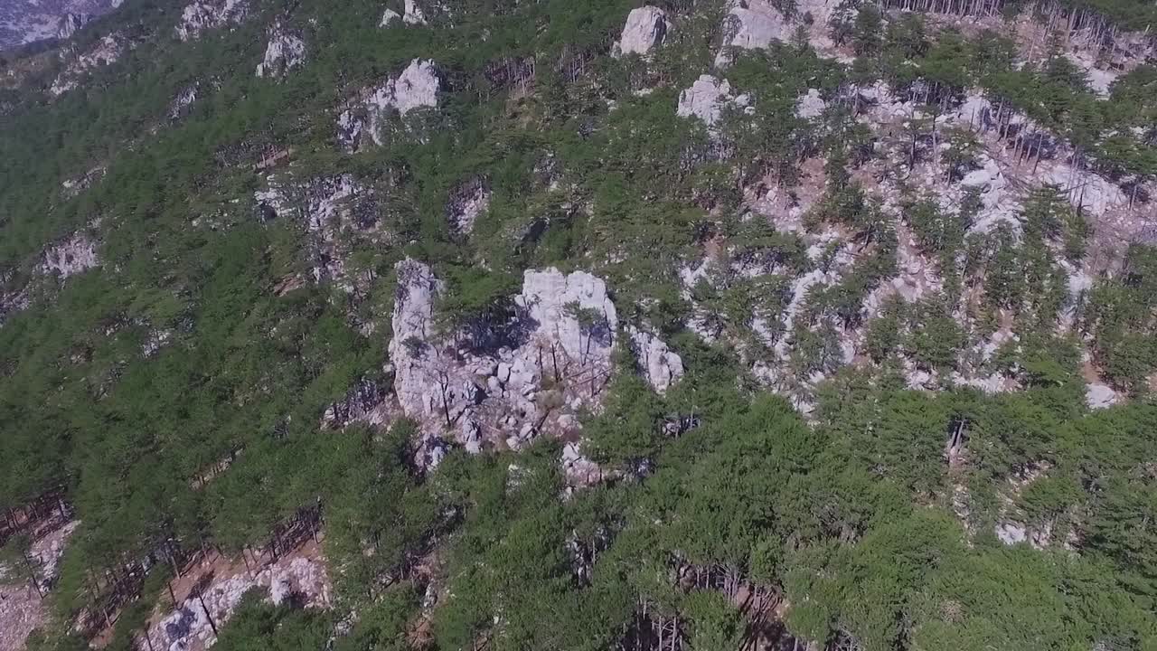 paisaje forestal montañoso con rocas