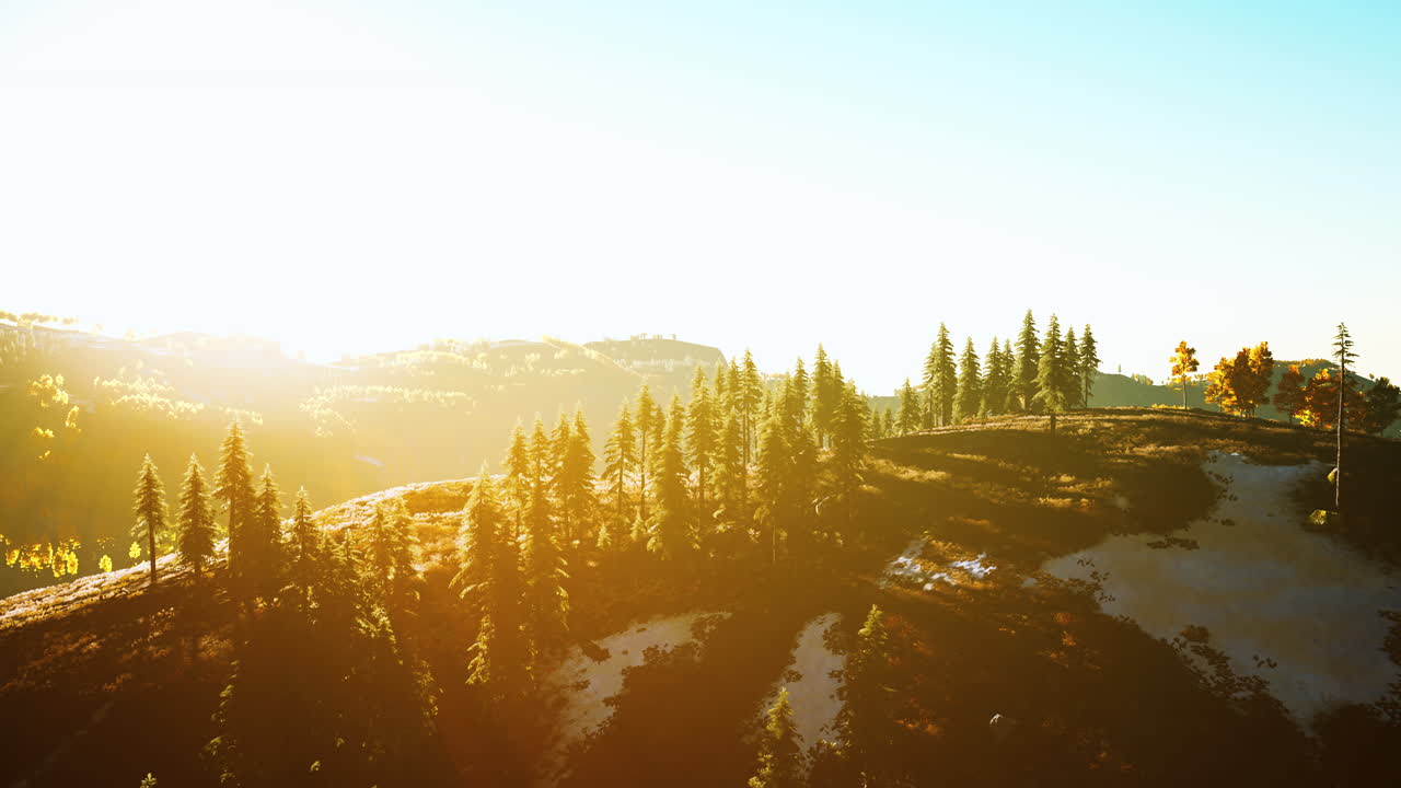 가을 스칸디나비아 숲과 풍경과 활기찬 가을 색상