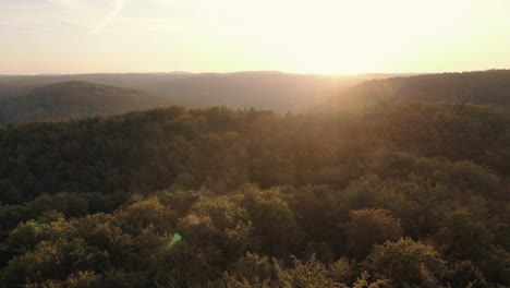 Eine-Luftaufnahme-Einer-Drohne-Entlang-Der-Hohen-Grünen-Bäume-Im-Wald