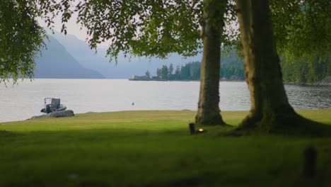 a close up shot of the lush green grass and birch trees all around a coastline of a luxury property in lions bay, british columbia, canada
