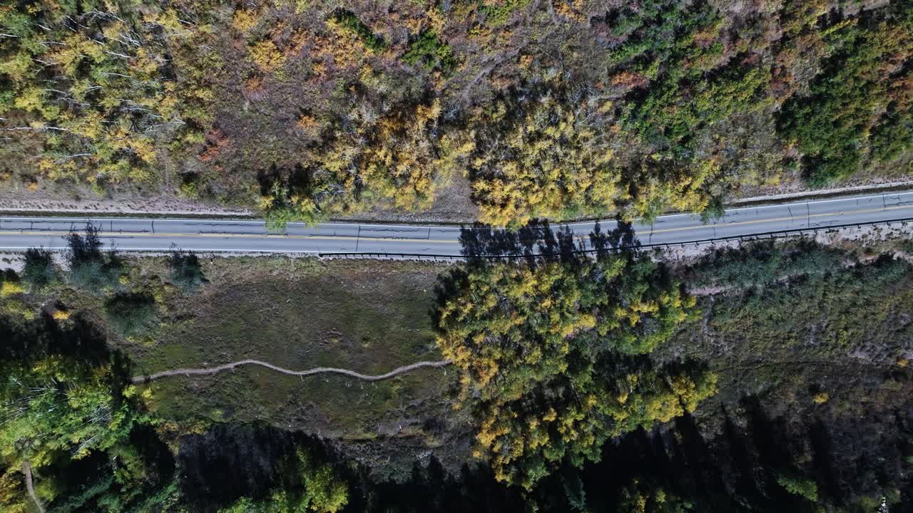 가을 숲 을 가로지르는 휘어지는 도로 의 공중 사진