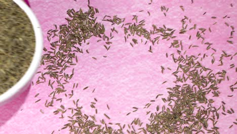 las semillas de comino negro se mantienen en una bandeja