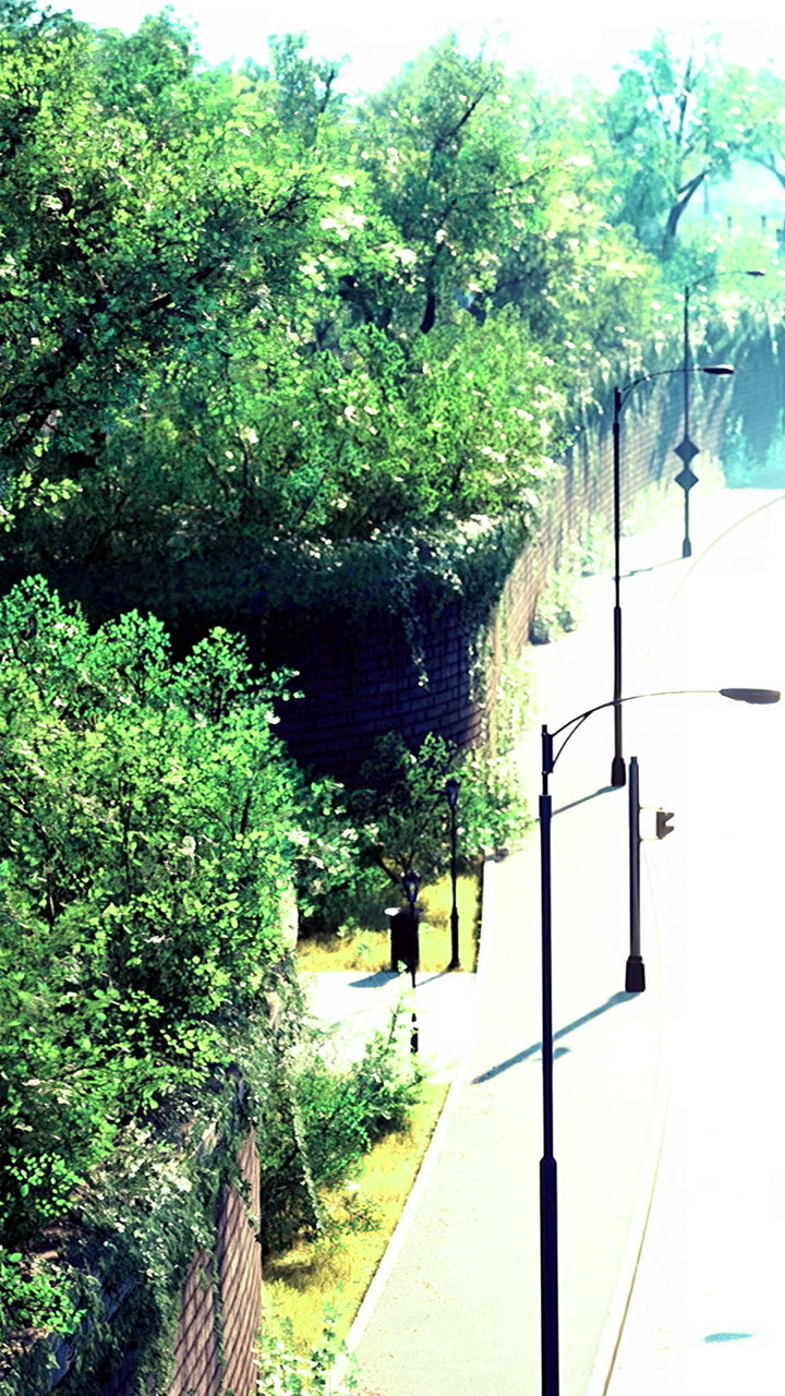Green foliage embraces the urban landscape in summers bright sunlight