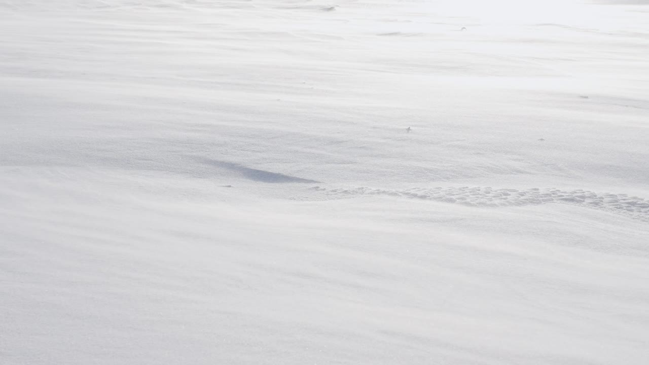 fondo de invierno, tormenta de nieve de invierno barre la carretera con nieve, nevadas en lo alto de las montañas, arroyo nevado. es frío en invierno.