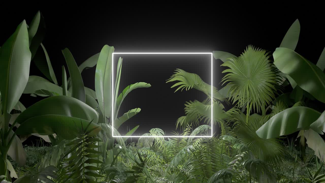 planta tropical con luz de neón sobre un fondo negro