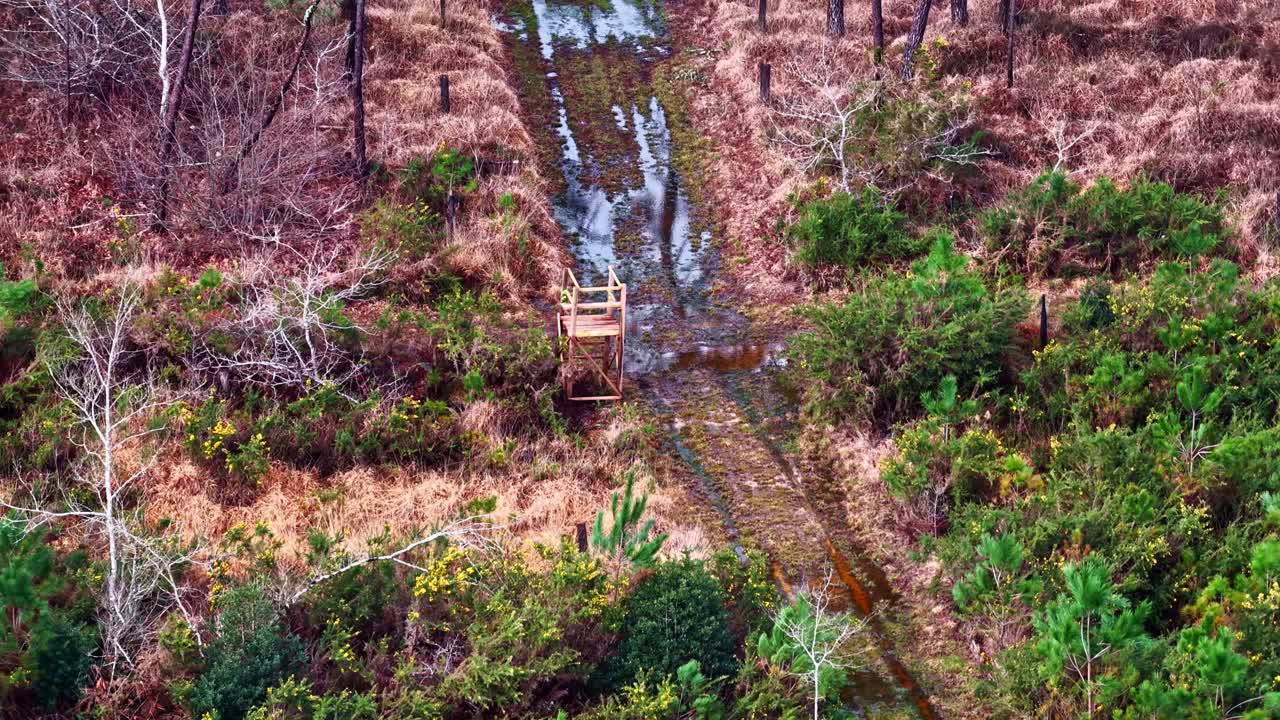 Çamurlu orman yolu ve küçük ahşap yaya köprüsüyle dar dere geçişi üzerindeki drone hava görüntüsü; sulak alan çalılıkları ve ağaçlarla çevrili bir bataklık üzerindeki drone hava görüntüsü—uzak doğa manzarası.