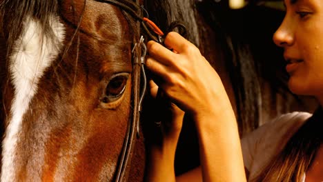 Close-up-of-woman-preparing-harness-for-horse-4k