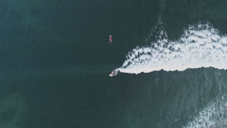 Antenne-Von-Oben-Nach-Unten,-Die-Dem-Surfer-In-Richtung-Ufer-Folgt,-Während-Er-Auf-Einer-Welle-Reitet,-4k