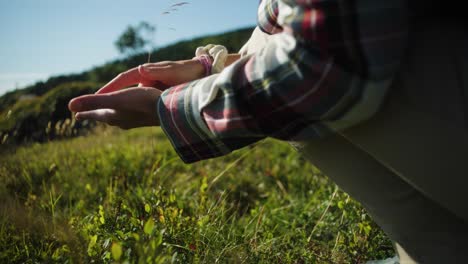 Person-Untersucht-Etwas-In-Händen-Mit-Langem,-üppigem-Gras-In-Grüner-Landschaft