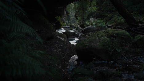 Der-Unberührte-Fluss-Schlängelt-Sich-Anmutig-Durch-Das-üppige-Grün