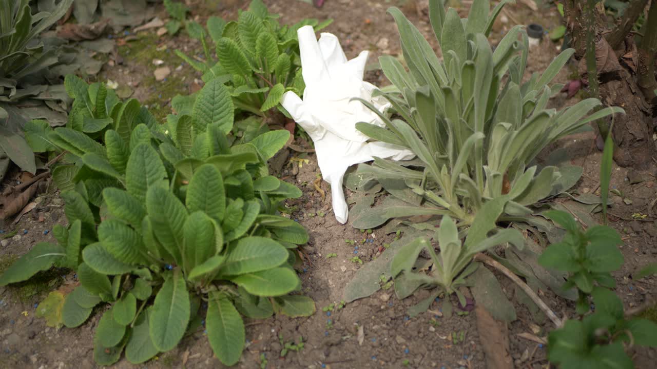 los guantes quirúrgicos usados y la máscara arrojados descuidadamente en la naturaleza, contaminan el medio ambiente y causan problemas para toda la humanidad en la crisis pandémica, el coronavirus