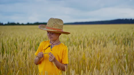 little kid in agriculture land. boy in straw hat holds wheat spikelets and looks at the ripeness. little farmer on yellow field.