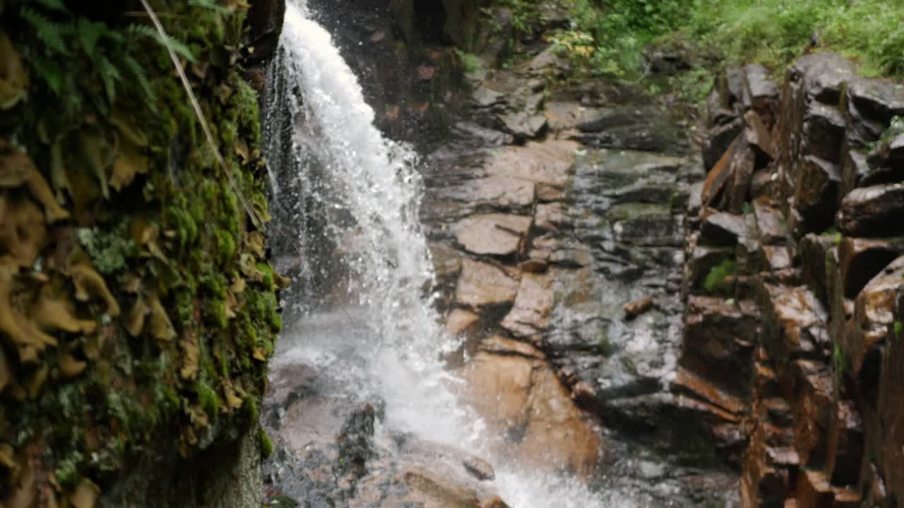 la cámara se desliza desde detrás de una roca frondosa mientras se enfoca para revelar una cascada que cae sobre la piedra