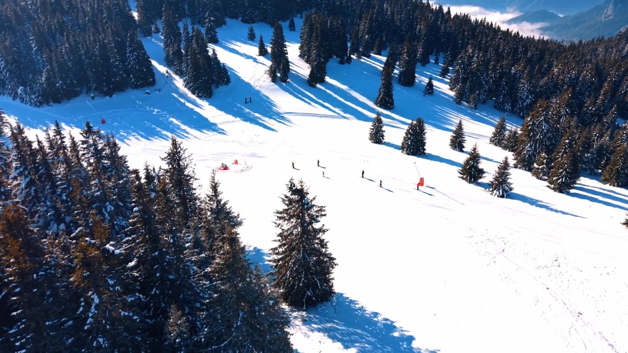 Sciatori che scendono un pendio montano innevato in una giornata di sole. Alti pini proiettano ombre distinte sul terreno bianco durante un luminoso clima invernale