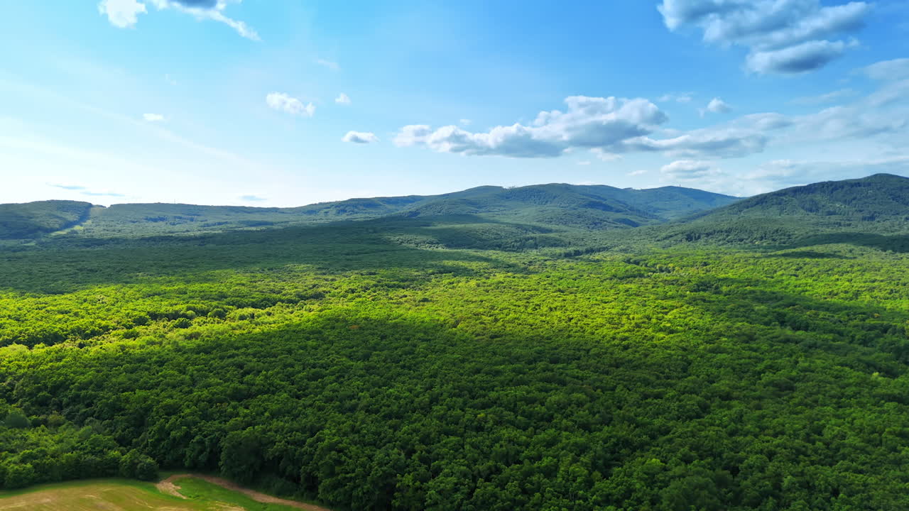 Green forest under blue sky. Thick trees cover rolling hills as sunlight filters through clouds, creating a tranquil landscape in nature