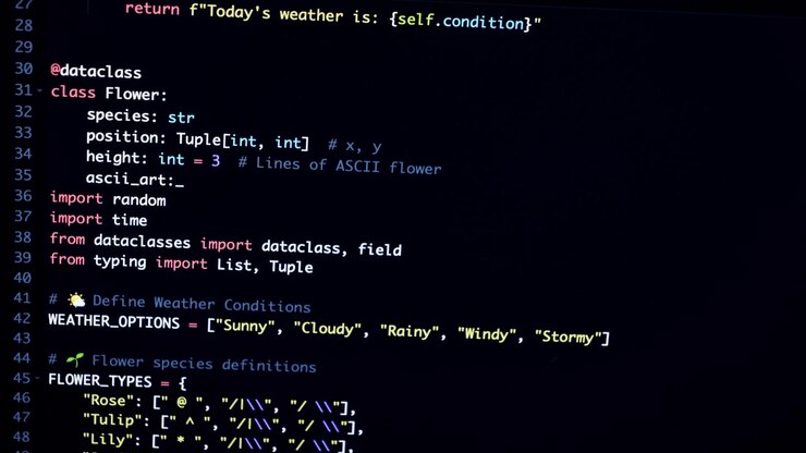 Código de programación en Python que muestra clases de datos y arte ASCII
