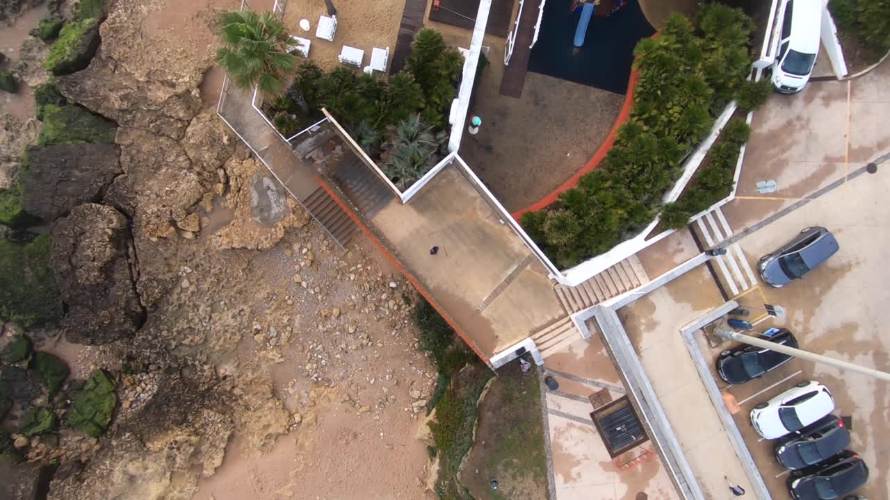 volando sobre palmeras en la playa